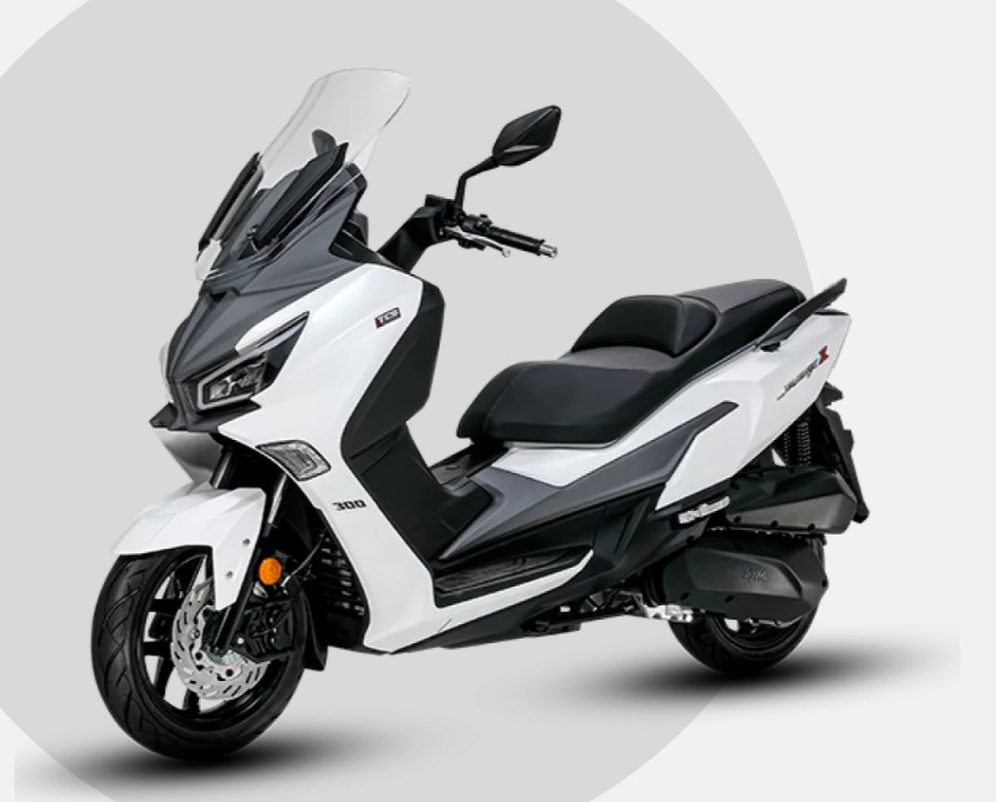 JOYMAX Z300