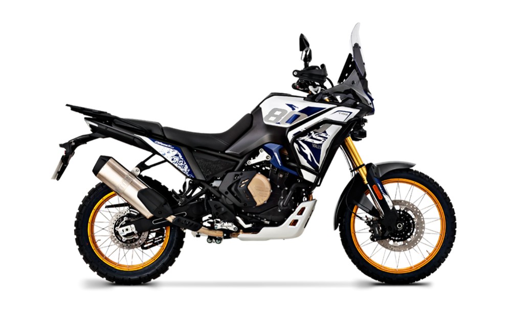 DS800 RALLY
