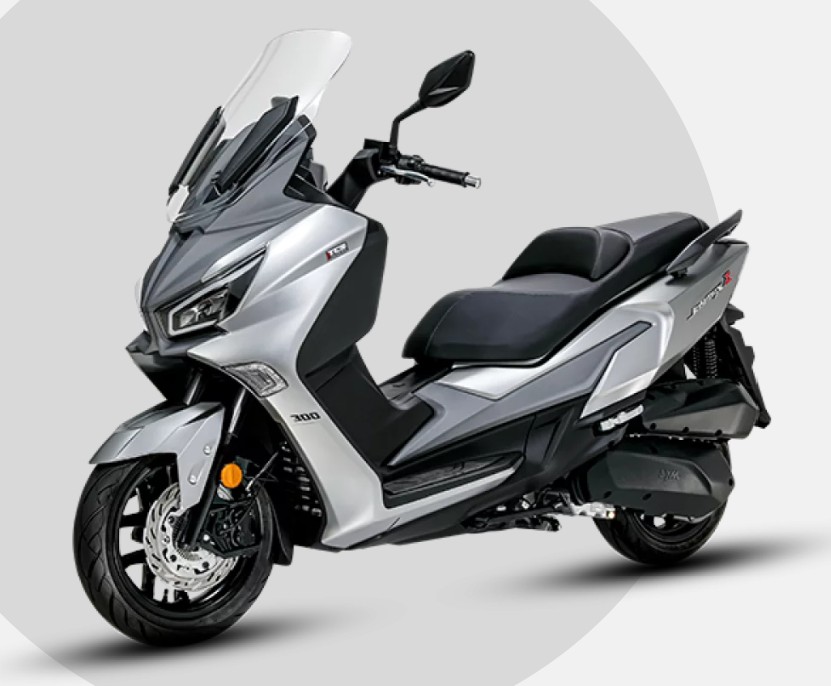 JOYMAX Z300